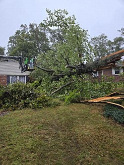 Storm Damage