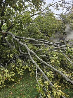 Storm damage